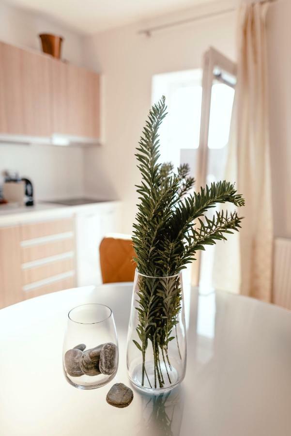 Luxury Apartments Zelny Trh 4 เบอร์โน ภายนอก รูปภาพ